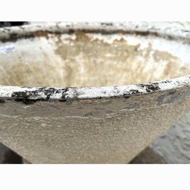Sculpture Materials 1960s Large Willy Guhl Tapered Planter For Sale - Image 7 of 9