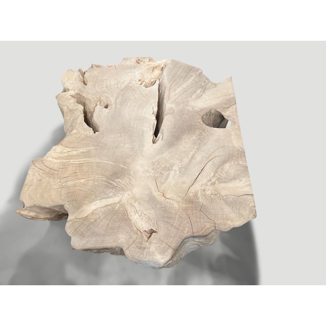 Andrianna Shamaris Bleached Teak Wood Sculptural Coffee Table or Pedestal For Sale - Image 13 of 18