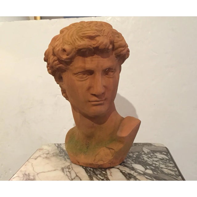 Classic Italian Terracotta Bust of David For Sale In Philadelphia - Image 6 of 7