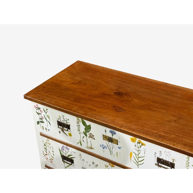 Wood Swedish Modern, Nordens Flora Dresser, Brass, Floral Lithographs, Sweden, 1930s For Sale - Image 7 of 14