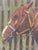 Mid-Century British Equestrian Horse Portrait Attributed to Lionel Ellis, c.1950–60 For Sale - Image 14 of 18
