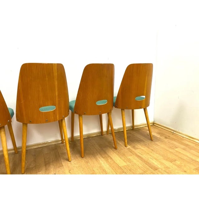 Brussels Style Chairs, Czechoslovakia, 1964, Set of 4 For Sale - Image 6 of 11