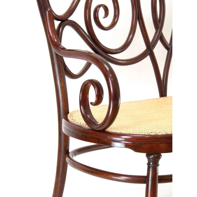 Viennese No. 4 Sofa by Michael Thonet for Jacob & Josef Kohn, 1870s For Sale - Image 9 of 10