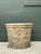 Cream Vintage Cast Stone Lions Head Table Pedestal For Sale - Image 8 of 18