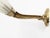 Italian Art Deco Brass Sconces with Murano Glass Shade, 1930s, Set of 2 For Sale - Image 11 of 18