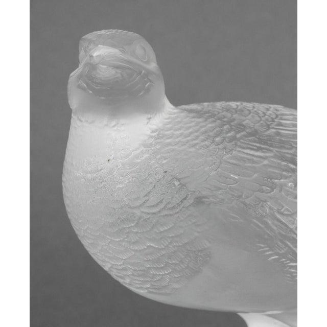 Lalique Crystal "Perdix" Sculptures, 4 For Sale - Image 9 of 15