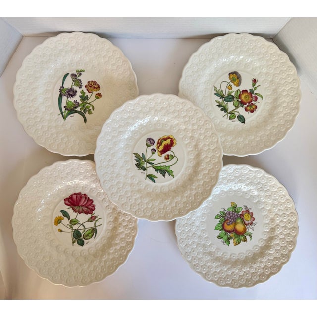 This beautiful set of ten vintage Spode Copeland England plates features richly detailed botanical motifs framed by...
