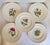 This beautiful set of ten vintage Spode Copeland England plates features richly detailed botanical motifs framed by...