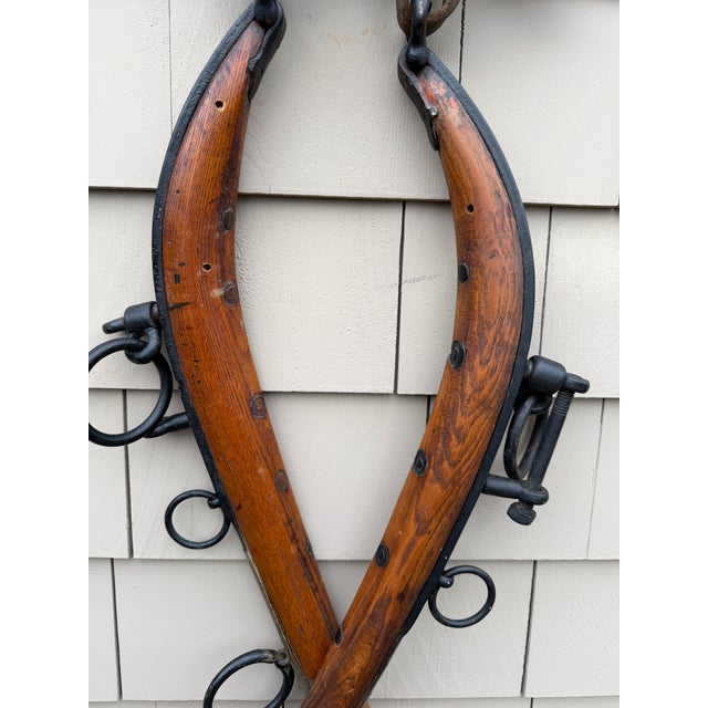Antique u.s. Hame Co. Buffalo Ny Mule Hames – Original Wooden & Iron Harness Pair c.1900–1925 – Rustic Farmhouse Wall Decor For Sale - Image 17 of 18