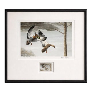 Ray Harm Signed Mallard Print With 1985 Kentucky Duck Stamp Framed For Sale