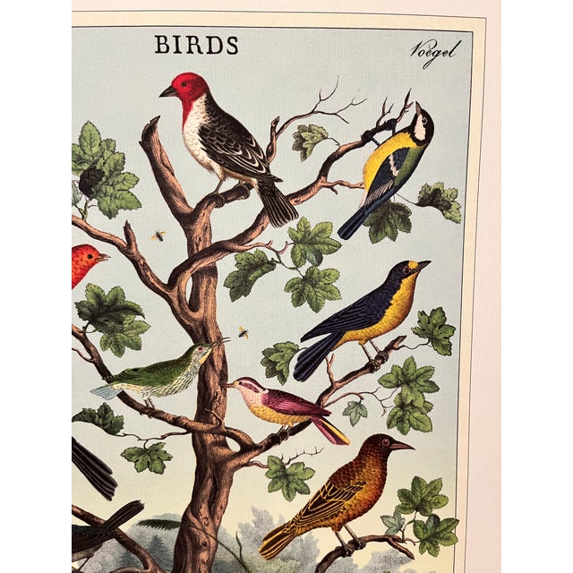 New old stock. Birds (Oiseaux) Voegel. Very colorful grouping. Printed textured very heavy weight stock and ready for...