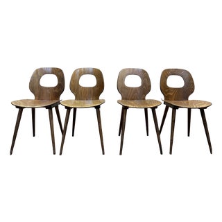 Vintage Baumann Eye Model Chairs in Wood, 1950s, Set of 4 For Sale