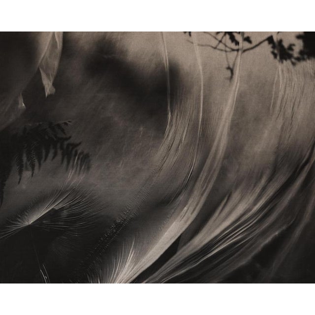 Early 21st Century Ugne Pouwell, Wind Stretched Daydream, 2022, Photography For Sale - Image 5 of 7