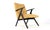 Contemporary De Lier Lounge Chair For Sale - Image 3 of 16