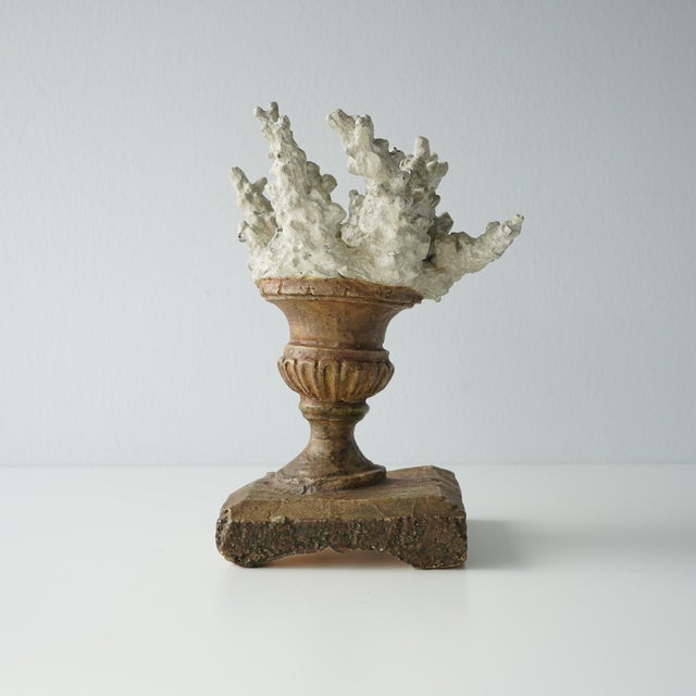 Faux Coral Assemblage on an Antique Italian Urn Decorative Sculpture For Sale - Image 4 of 15