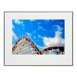 "Roller Coaster With Palms 1" - Santa Cruz Beach Boardwalk Color Photograph by Deborah Eddy