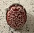 DGS Turkey Sterling Silver Filigree Openwork Ornate Ring Size 10 Rare Signed