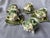 Vintage Majolica Style Shell Cup and Saucers Set of 9 Pieces For Sale In New York - Image 6 of 17