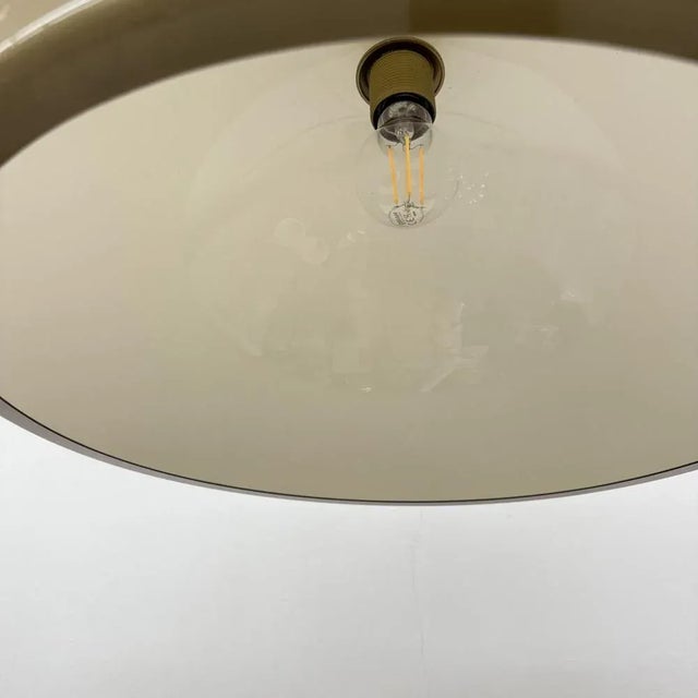 Mid-Century Modern Brown Mushroom Pendant, 1970s For Sale - Image 3 of 18