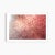 Pink 'In the Pink' Set of Botanical Photographs, Series of Four 36 X 24" Fine Art Photography Prints For Sale - Image 8 of 15