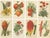 Vintage Botanical Illustrations from Revue Horticole, 1855, Set of 8 For Sale