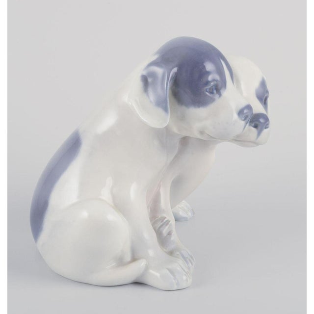Porcelain Figurine of Two Pointer Puppies from Royal Copenhagen, 1930s For Sale - Image 3 of 8