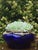 Antique French Cobalt Blue Glass Vase With Gilt Bronze Floral Garland Mounts For Sale - Image 4 of 4