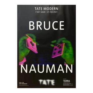 Bruce Nauman Terra Poster