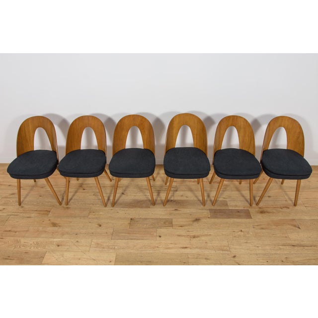 Mid-Century Oak Dining Chairs by Antonín Šuman for Tatra Nábytok, Czechoslovakia, 1960s, Set of 6 For Sale - Image 4 of 18