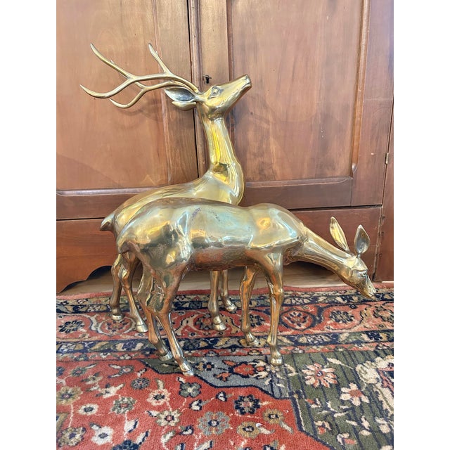 This pair of deer - a grazing doe and a guardian buck - came from the estate of collectors near New Orleans. They are the...