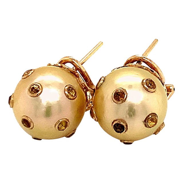 South Sea Pearl Sapphire Earrings 14k Gold Certified For Sale
