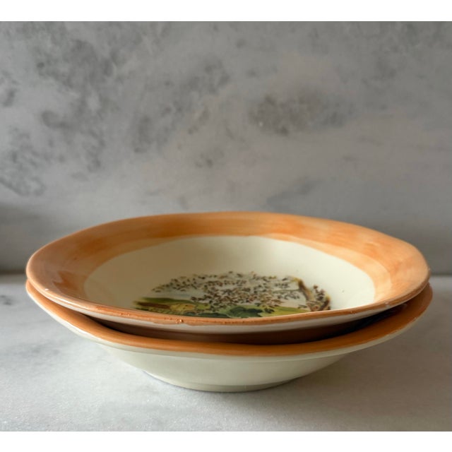 Vintage Italian Hand Painted Pasta Bowls by Ceramiche Tadinate - a Pair For Sale In Austin - Image 6 of 9