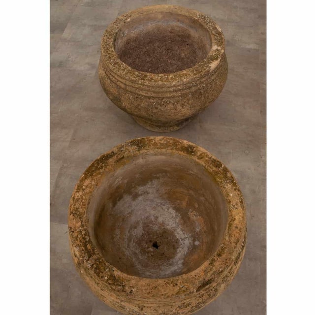 English English 19th Century Heavy Terracotta Planters - A Pair For Sale - Image 3 of 9