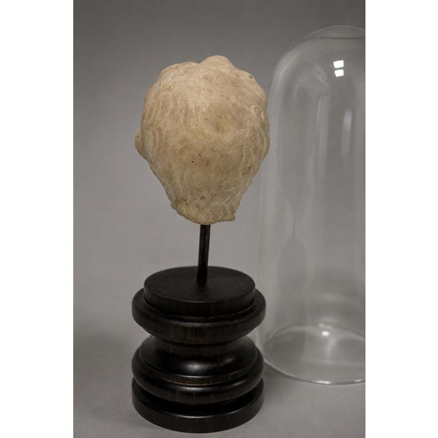 18th C or Earlier, Italian Grand Tour Marble Head of a Young Child W/ Cloche For Sale - Image 9 of 10