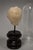18th C or Earlier, Italian Grand Tour Marble Head of a Young Child W/ Cloche For Sale - Image 9 of 10
