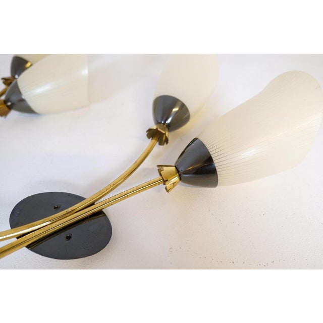 Mid-Century Brass and Opaline Wall Lamps from ASEA, Sweden, 1950s, Set of 2 For Sale - Image 10 of 16