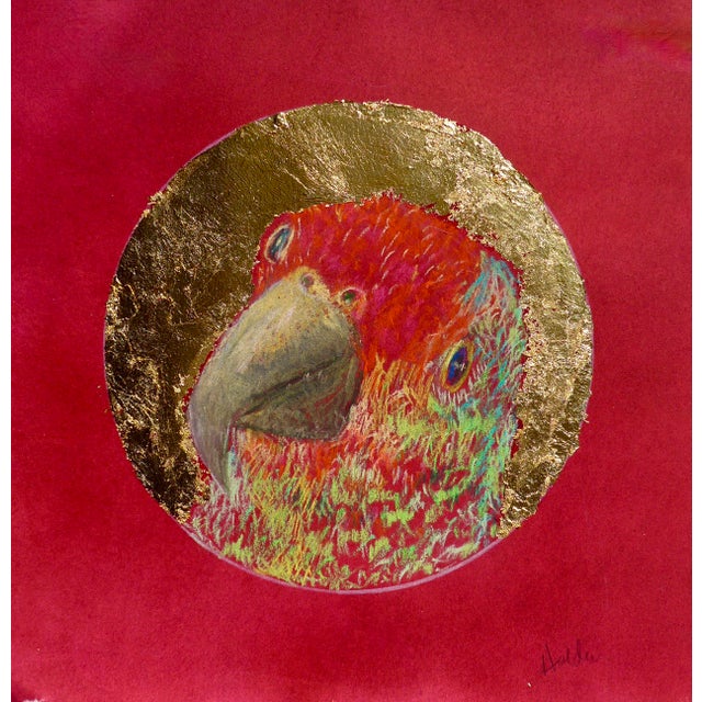 Martha Holden Contemporary Drawing, Parrot in a Golden Cameo For Sale - Image 9 of 9