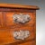 1900's Antique Desktop Specimen Case For Sale - Image 10 of 10