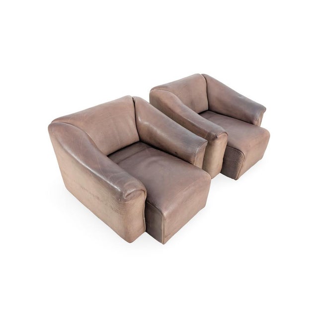 Animal Skin DS 47 Lounge Chair in Leather from de Sede For Sale - Image 7 of 10