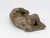 Reconstituted Stone Dog Spaniel Garden Ornament, England 20th Century For Sale - Image 4 of 9