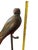 Brown 1980s Monumental Hand-Carved Wood Parrot Sculpture on Brass Stand — 58” Tall For Sale - Image 8 of 10
