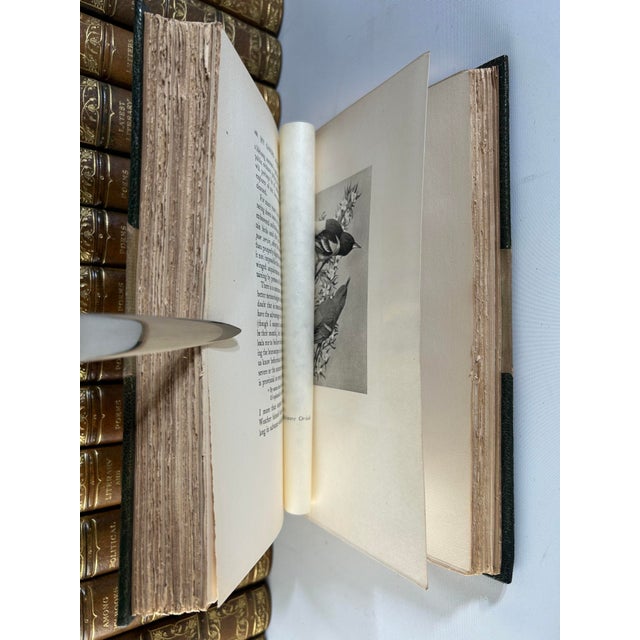 Early 20th Century Illustrated Half Green Morocco Octavo Volume Set, the Complete Writings of James Russell Lowell - 16 Books For Sale - Image 9 of 12