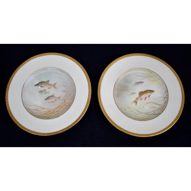 Coastal Set of 6 Antique Minton for Tiffany Hand Painted Fish Cabinet Plates Gold Rim For Sale - Image 3 of 18