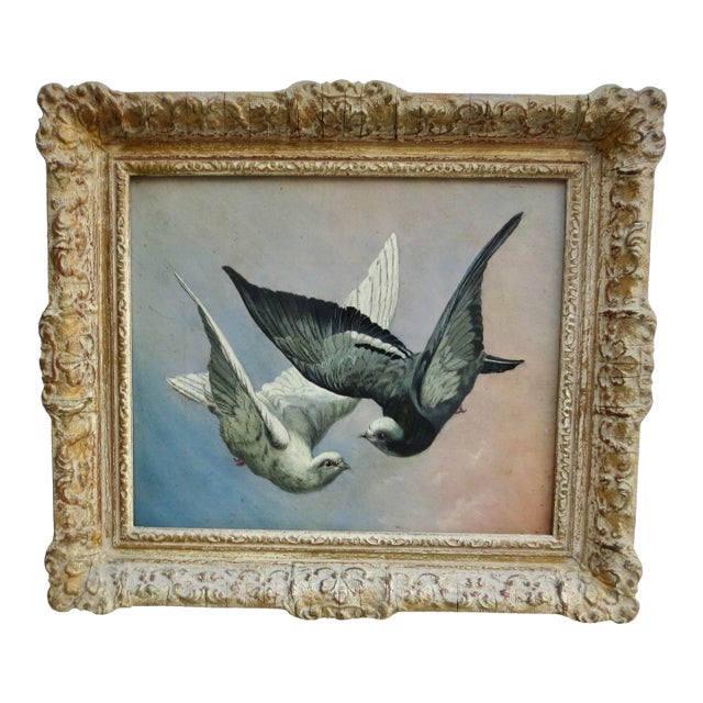 Pigeons on Flight Painting For Sale