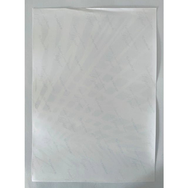 1990s Jeffrey Rothstein, Flora Fauna Series Vintage Color Photograph Abstract Flower Fuji Crystal Photo c., 1998 For Sale - Image 5 of 6