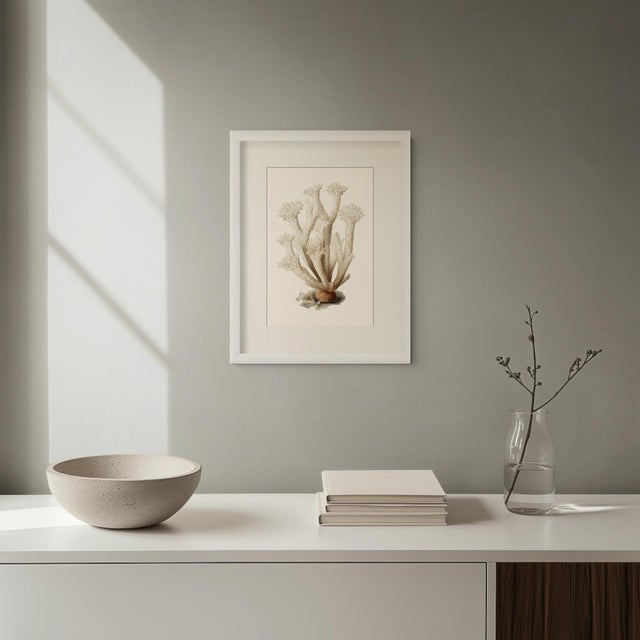 Coastal White Coral Botanical Fine Art Print No. 1 - Natural History Coastal Illustration | Neutral Color Palette For Sale - Image 3 of 3