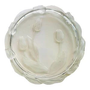 Contemporary Mikasa Tulip Pattern Frosted & Clear Glass Tray/Platter