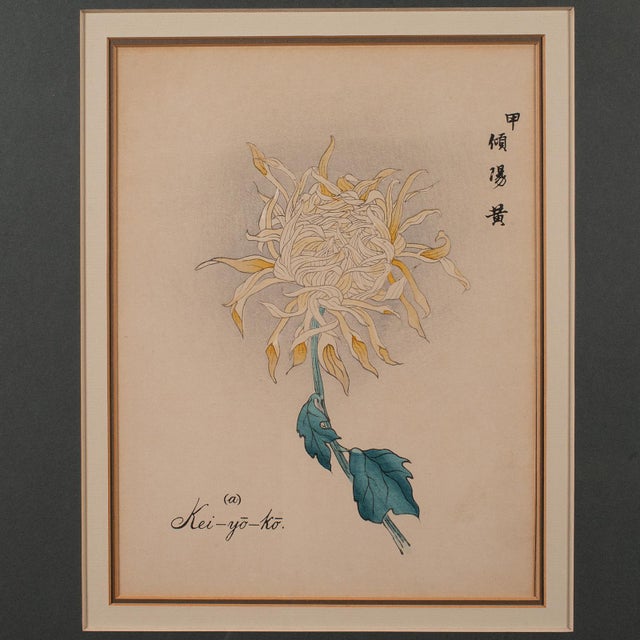 3 Vintage Botanical Pictures, Japanese, Woodblock Print, After Hasegawa, Art For Sale - Image 6 of 12