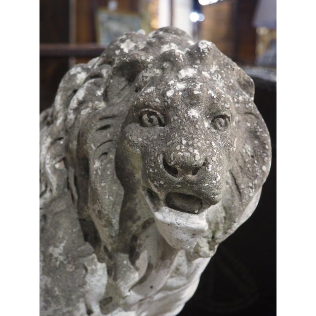 A French Medici Style Lion in Reconstituted Stone, 20th C For Sale - Image 14 of 18