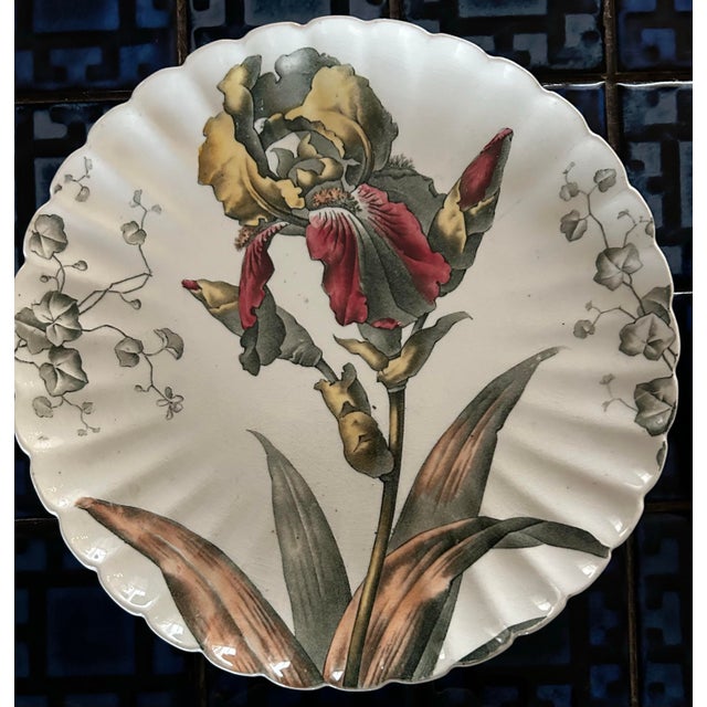 Arts & Crafts Antique 1880’s Tc Brown Westhead Moore & Co Scalloped Edge Botanical Plates 8.5” ~ Set of 6 For Sale - Image 3 of 11